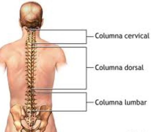 Ha tirado el cuello duele la mano